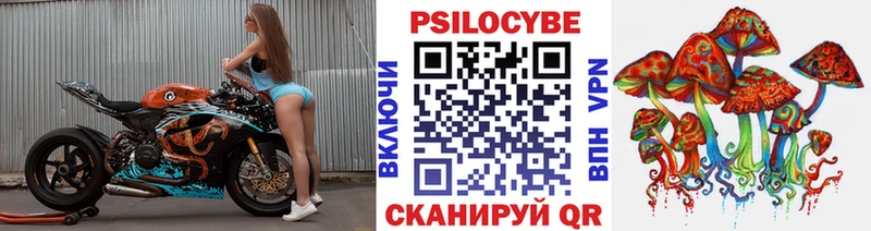 купить наркоту  Нягань  mega маркетплейс  Псилоцибиновые грибы прущие грибы 